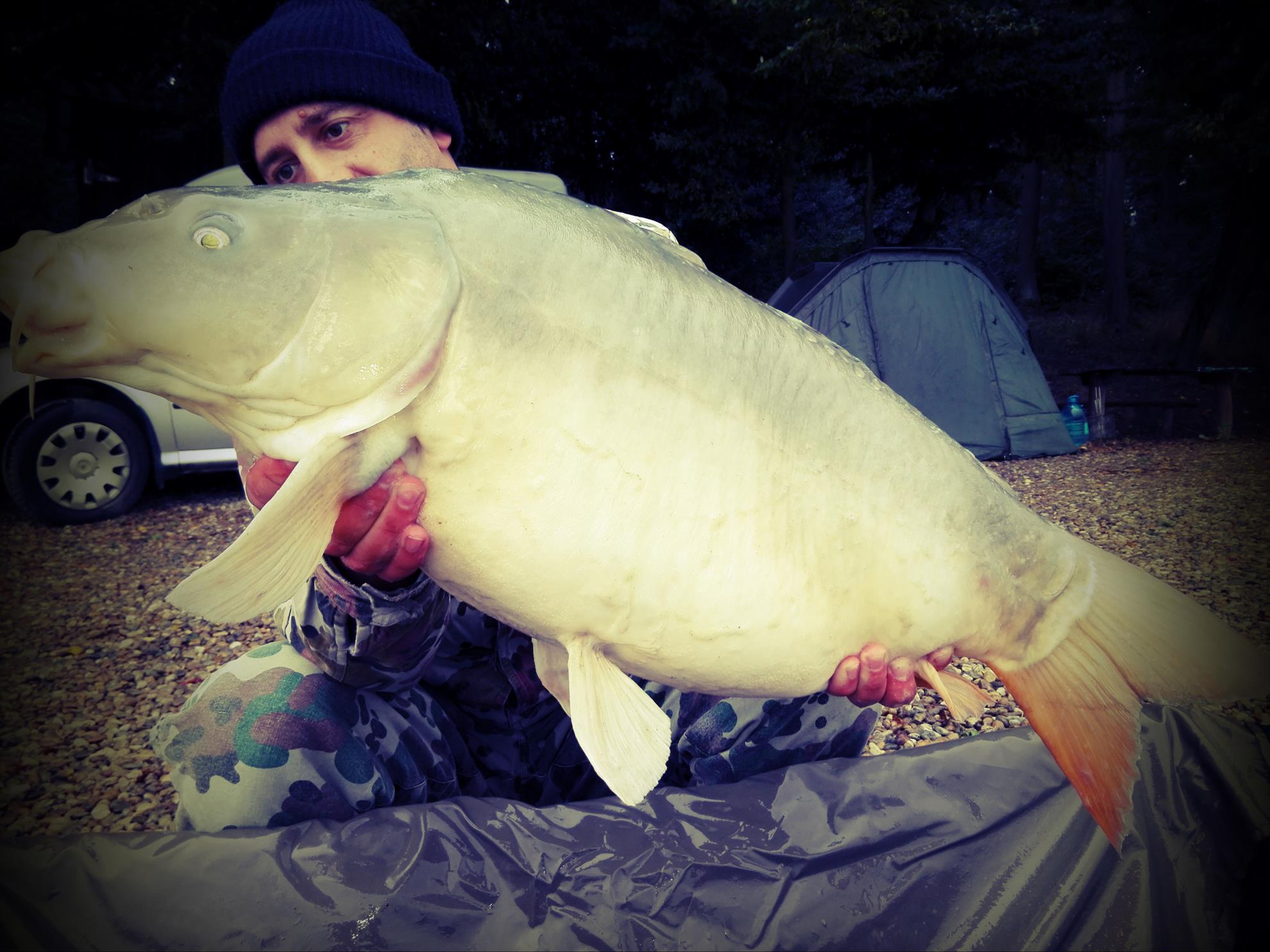 1-5 Octombrie Cetariu - img20161004163459.jpg